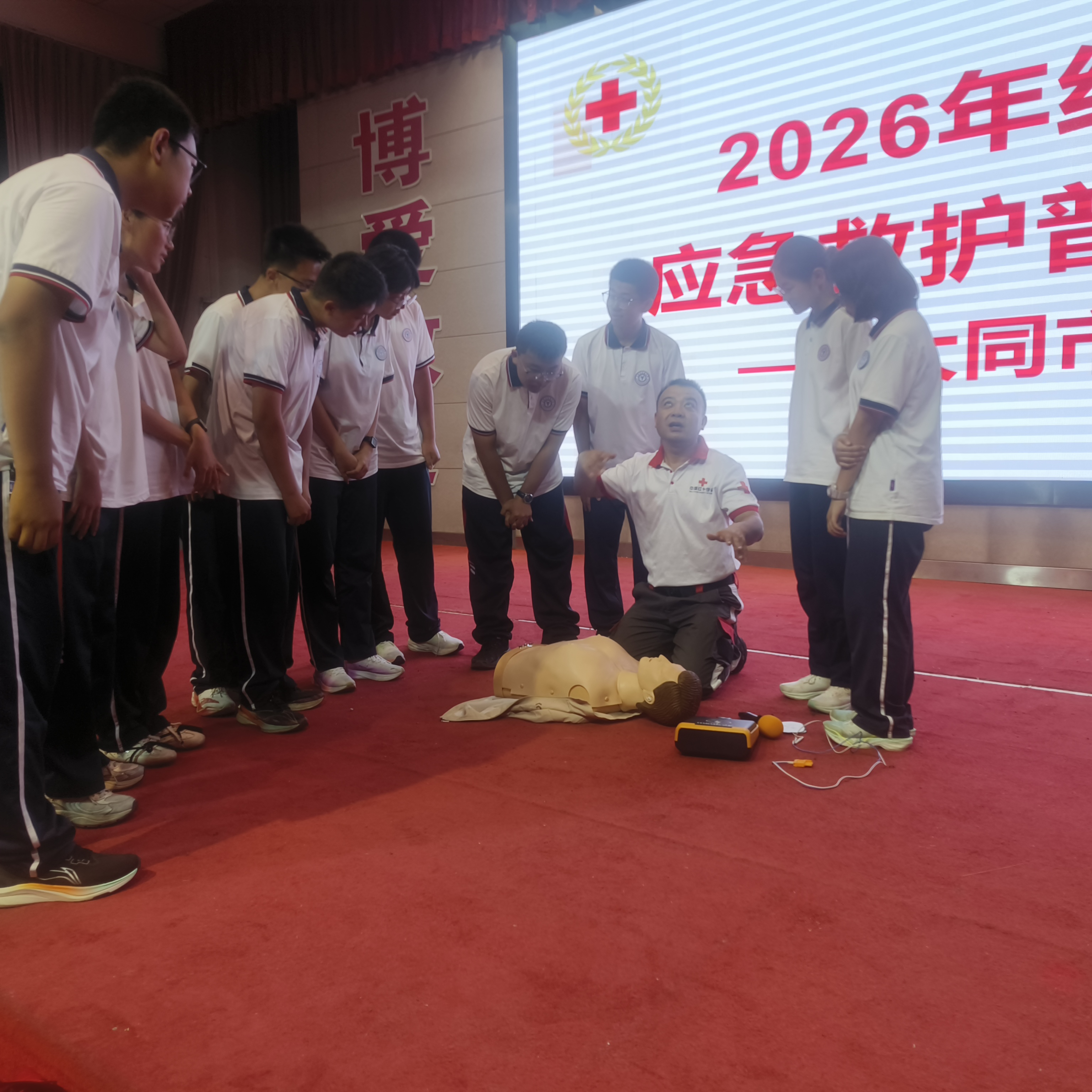 图片4