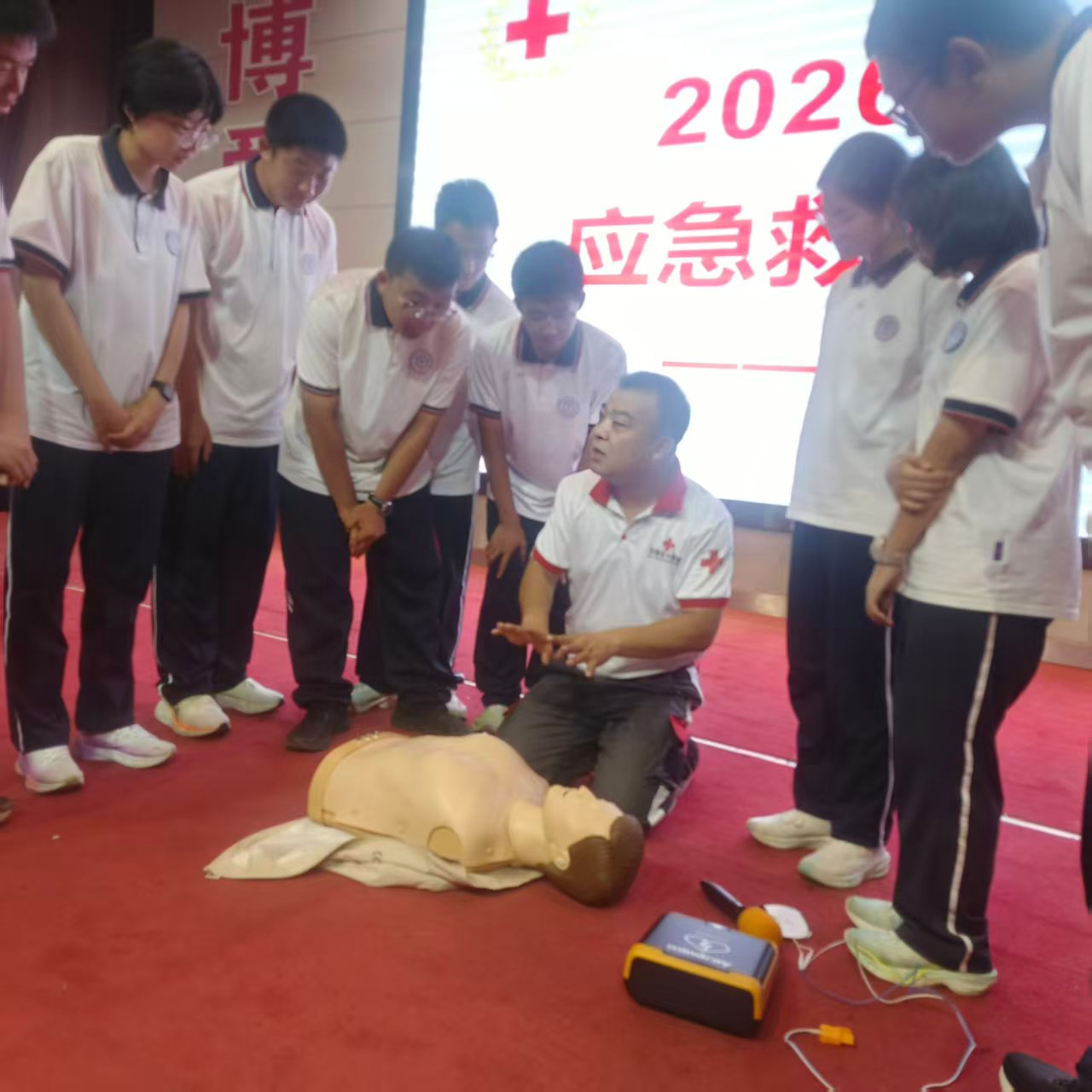 图片5